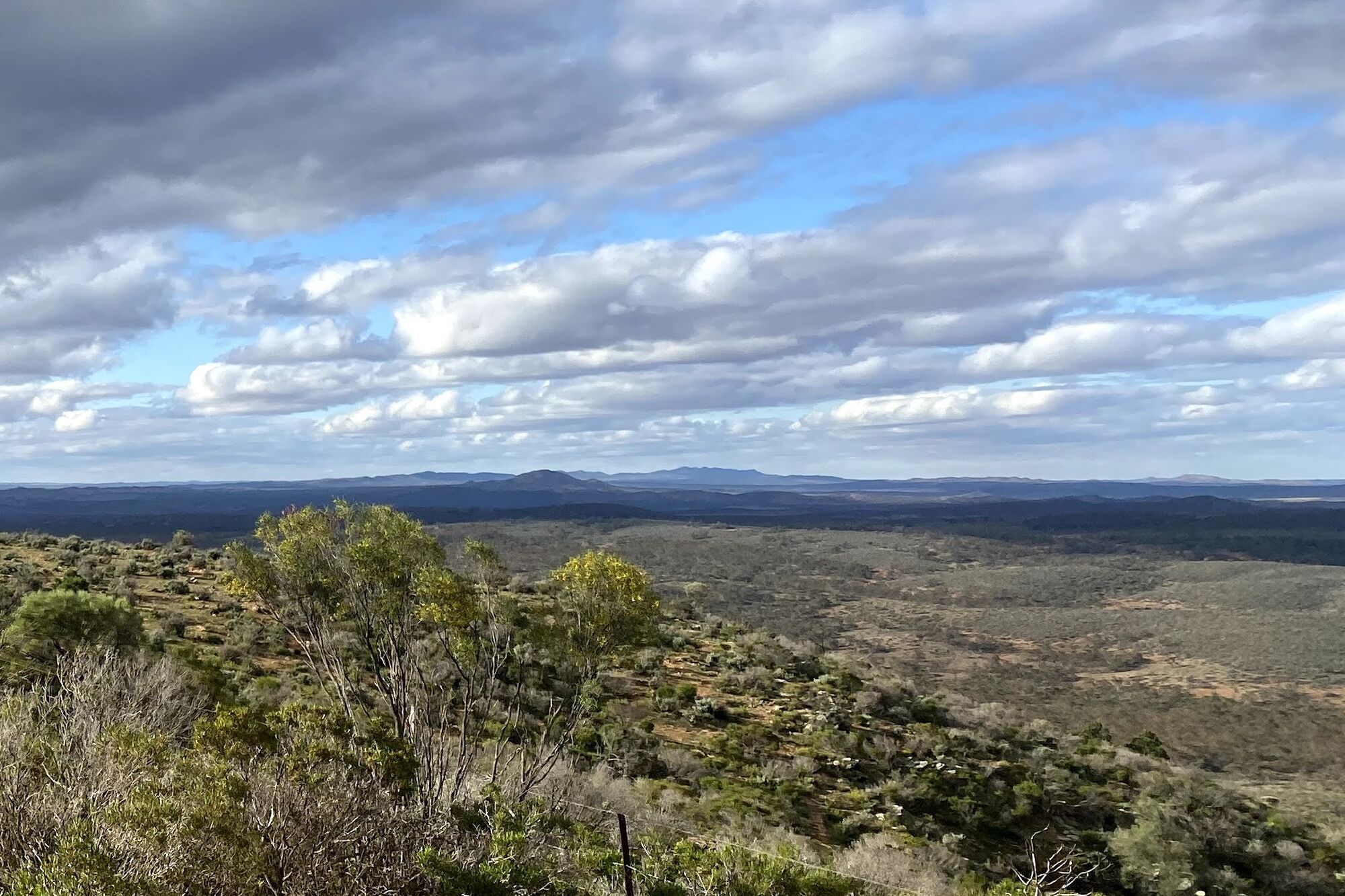 Saltbush and mallee scrub falling away to a broad valley under cloud